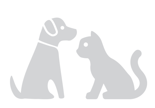 chronic condition for dog and cat